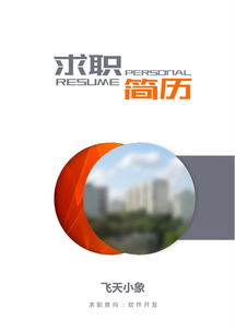 计算机软件开发简历模板与撰写指南